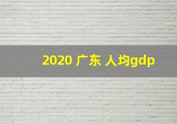 2020 广东 人均gdp